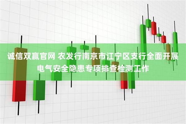 诚信双赢官网 农发行南京市江宁区支行全面开展电气安全隐患专项排查检测工作