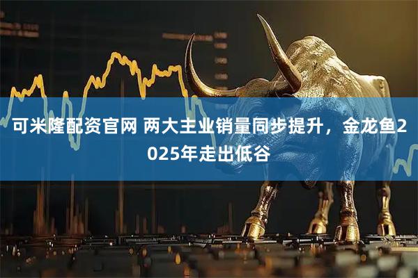 可米隆配资官网 两大主业销量同步提升，金龙鱼2025年走出低谷